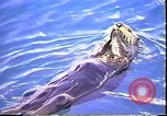 Immagine di Exxon Valdez fuoriuscite di olio Valdez Alaska USA, 1989, secondo 31 filmato di repertorio 65675067946