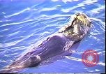Immagine di Exxon Valdez fuoriuscite di olio Valdez Alaska USA, 1989, secondo 32 filmato di repertorio 65675067946
