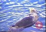 Immagine di Exxon Valdez fuoriuscite di olio Valdez Alaska USA, 1989, secondo 34 filmato di repertorio 65675067946