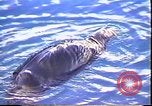 Immagine di Exxon Valdez fuoriuscite di olio Valdez Alaska USA, 1989, secondo 35 filmato di repertorio 65675067946