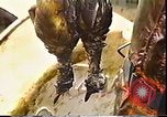 Immagine di Exxon Valdez fuoriuscite di olio Valdez Alaska USA, 1989, secondo 42 filmato di repertorio 65675067946