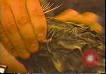 Immagine di Exxon Valdez fuoriuscite di olio Valdez Alaska USA, 1989, secondo 53 filmato di repertorio 65675067946