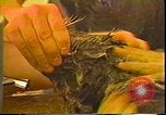 Immagine di Exxon Valdez fuoriuscite di olio Valdez Alaska USA, 1989, secondo 54 filmato di repertorio 65675067946