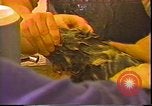 Immagine di Exxon Valdez fuoriuscite di olio Valdez Alaska USA, 1989, secondo 55 filmato di repertorio 65675067946