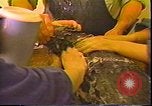 Immagine di Exxon Valdez fuoriuscite di olio Valdez Alaska USA, 1989, secondo 56 filmato di repertorio 65675067946