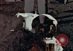 Standbild Apollo 11 Astronauten die ersten Menschen auf Mond Florida United States USA, 1969, aus Sekunde 7 historischem Filmmaterial Videoclip 65675067953