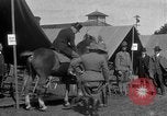 Image of President  Woodrow Wilson Sea Girt New Jersey USA, 1916, second 15 stock footage video 65675067972