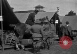 Image of President  Woodrow Wilson Sea Girt New Jersey USA, 1916, second 16 stock footage video 65675067972