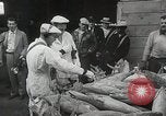 Standbild Wasserstoffbombe und Atombombe Strahlenwirkungen United States USA, 1954, aus Sekunde 56 historischem Filmmaterial Videoclip 65675067981