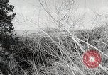 Standbild Mount Suribachi Iwo Jima, 1954, aus Sekunde 37 historischem Filmmaterial Videoclip 65675067985