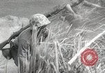 Standbild Mount Suribachi Iwo Jima, 1954, aus Sekunde 50 historischem Filmmaterial Videoclip 65675067985
