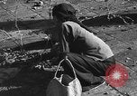 Standbild Vietminh Vietnam, 1954, aus Sekunde 40 historischem Filmmaterial Videoclip 65675067988