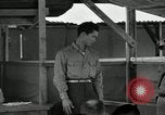 Standbild Kriegsverbrechen Manila Philippinen, 1945, aus Sekunde 31 historischem Filmmaterial Videoclip 65675067992
