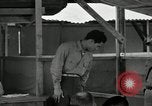 Standbild Kriegsverbrechen Manila Philippinen, 1945, aus Sekunde 32 historischem Filmmaterial Videoclip 65675067992