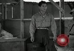 Standbild Kriegsverbrechen Manila Philippinen, 1945, aus Sekunde 39 historischem Filmmaterial Videoclip 65675067992