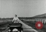 Image of Jersey Ringel Chattanooga Tennessee USA, 1921, second 10 stock footage video 65675067998