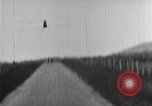 Image of Jersey Ringel Chattanooga Tennessee USA, 1921, second 34 stock footage video 65675067998