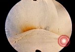 Immagine di Progetto Gemini navicella spaziale in orbita United States USA, 1965, secondo 1 filmato di repertorio 65675068010