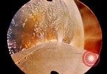 Immagine di Progetto Gemini navicella spaziale in orbita United States USA, 1965, secondo 3 filmato di repertorio 65675068010
