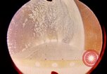 Immagine di Progetto Gemini navicella spaziale in orbita United States USA, 1965, secondo 4 filmato di repertorio 65675068010