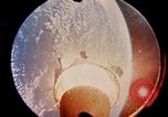 Immagine di Progetto Gemini navicella spaziale in orbita United States USA, 1965, secondo 8 filmato di repertorio 65675068010