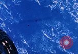 Immagine di Navicelle Gemini pratica manovre di attracco United States USA, 1965, secondo 54 filmato di repertorio 65675068011