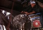 Image of Apollo 204 Florida United States USA, 1967, second 33 stock footage video 65675068021