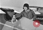 Image femme mouches Comper Swift monoplan Liverpool en Angleterre, 1930, de la seconde 29 séquences d'archives historiques vidéo 65675068046