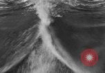 Immagine di Boat Race California United States USA, 1930, secondo 34 filmato di repertorio 65675068050