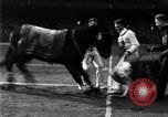 Image of Army versus Navy football New York United States USA, 1930, second 30 stock footage video 65675068057