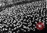 Image of Army versus Navy football New York United States USA, 1930, second 35 stock footage video 65675068057