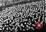 Image of Army versus Navy football New York United States USA, 1930, second 38 stock footage video 65675068057