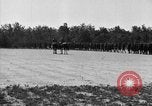 Image Les soldats afro-américains entrainement pendant la guerre mondiale 1 Maryland United States USA, 1917, de la seconde 14 séquences d'archives historiques vidéo 65675068086