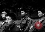 Image of Korean boys seek admission to Navy Jinhae Korea, 1954, second 43 stock footage video 65675068097