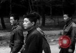 Image of Korean boys seek admission to Navy Jinhae Korea, 1954, second 45 stock footage video 65675068097