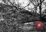 Image of Korean boys seek admission to Navy Jinhae Korea, 1954, second 50 stock footage video 65675068097