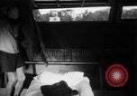 Image marins coréens Jinhae Corée, 1954, de la seconde 27 séquences d'archives historiques vidéo 65675068100
