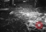Image of Korean sailors Jinhae Korea, 1954, second 25 stock footage video 65675068101