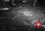 Image of Korean sailors Jinhae Korea, 1954, second 26 stock footage video 65675068101