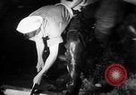 Image of Korean sailors Jinhae Korea, 1954, second 31 stock footage video 65675068101