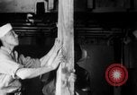 Image of Korean sailors Jinhae Korea, 1954, second 36 stock footage video 65675068101