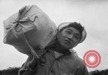 Immagine di Marinai coreani Jinhae Corea, 1954, secondo 20 filmato di repertorio 65675068103
