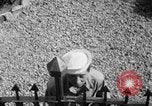 Immagine di Marinai coreani Jinhae Corea, 1954, secondo 27 filmato di repertorio 65675068103