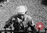 Immagine di Marinai coreani Jinhae Corea, 1954, secondo 28 filmato di repertorio 65675068103