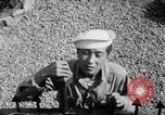 Immagine di Marinai coreani Jinhae Corea, 1954, secondo 29 filmato di repertorio 65675068103