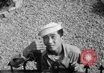 Immagine di Marinai coreani Jinhae Corea, 1954, secondo 35 filmato di repertorio 65675068103