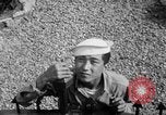 Immagine di Marinai coreani Jinhae Corea, 1954, secondo 36 filmato di repertorio 65675068103