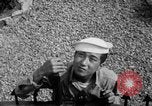 Immagine di Marinai coreani Jinhae Corea, 1954, secondo 37 filmato di repertorio 65675068103