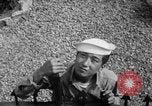Immagine di Marinai coreani Jinhae Corea, 1954, secondo 43 filmato di repertorio 65675068103