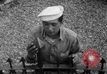 Immagine di Marinai coreani Jinhae Corea, 1954, secondo 53 filmato di repertorio 65675068103
